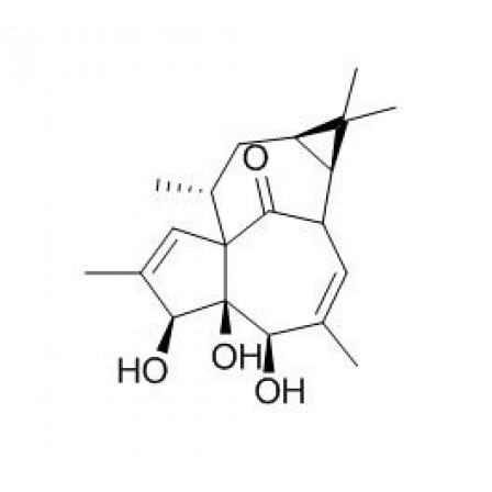 20-Deoxyingenol