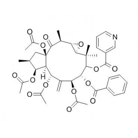 Kansuinine E