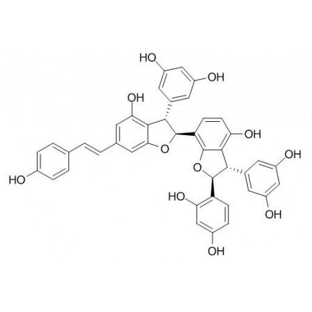 Gnetumontanin B