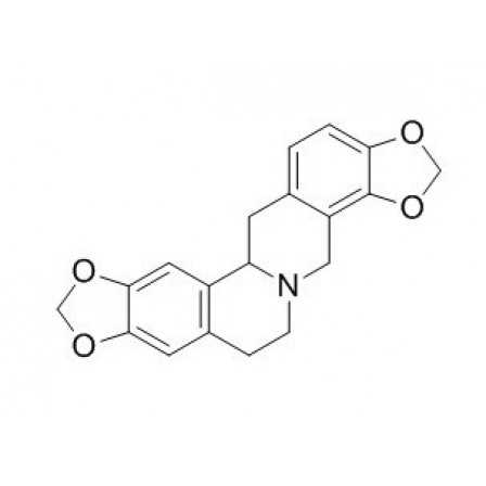 Stylopine