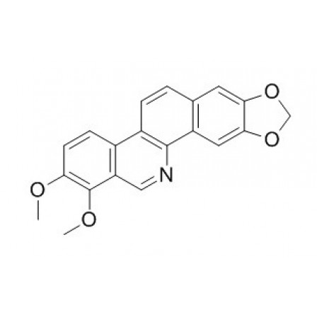 Norchelerythrine
