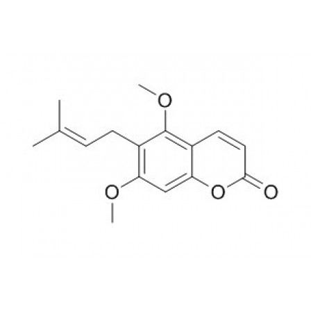 Toddaculine