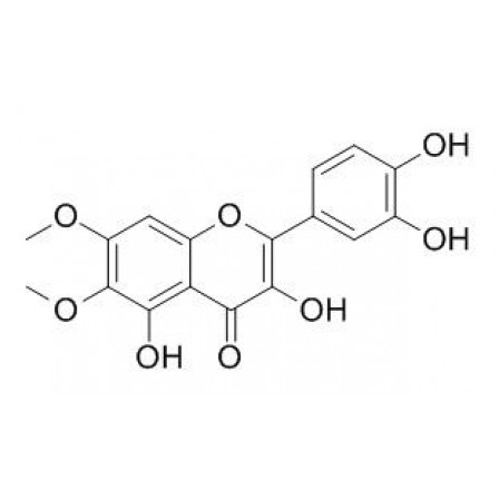 Eupatoletin
