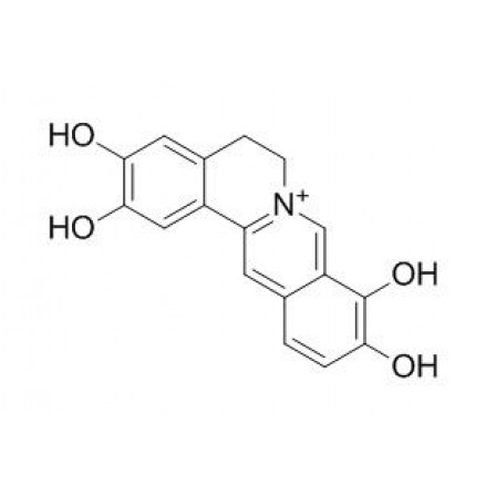 2,3,9,10-Tetrahydroxyberberine