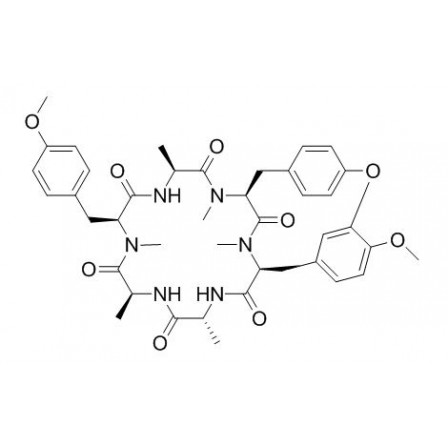 RA VII