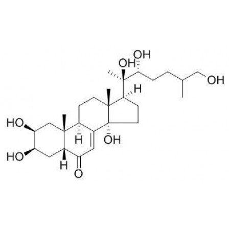 Inokosterone