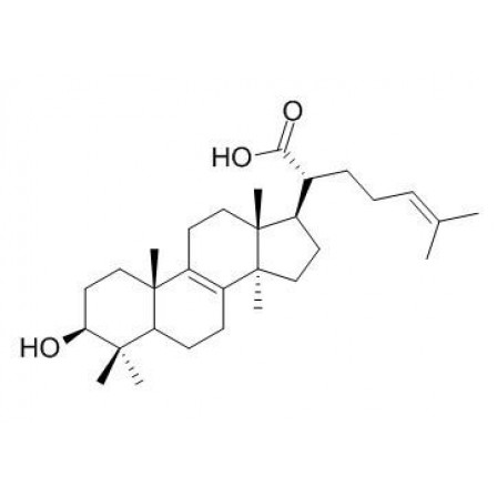 Trametenolic Acid