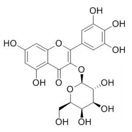 Myricetin 3-O-galactoside