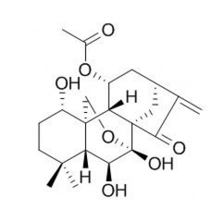 Taibaihenryiins A