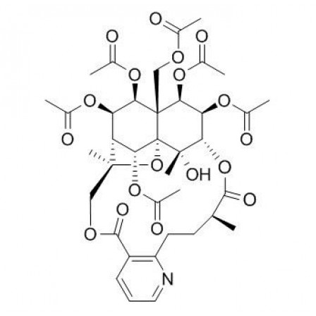 Evonimine
