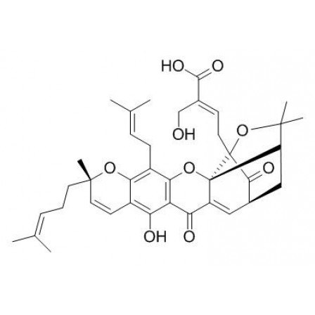 30-Hydroxygambogic Acid