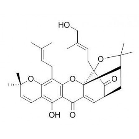 Isomorellinol