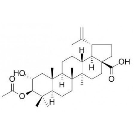 2alpha-hydroxy-3beta-acetyloxy-betulic Acid