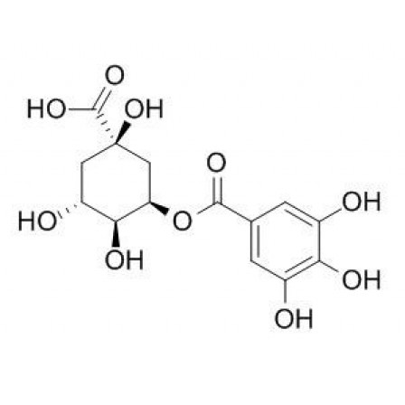 5-Galloylquinic Acid