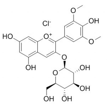 Malvidin-3-O-glucoside Chloride
