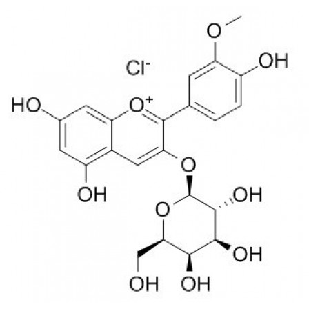 Peonidin-3-O-galactoside Chloride
