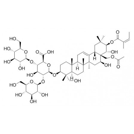 Isoescin IB