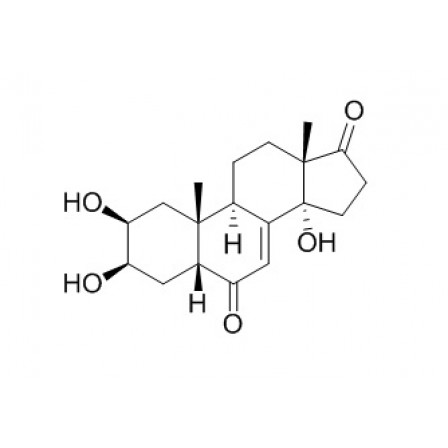 Rubrosterone