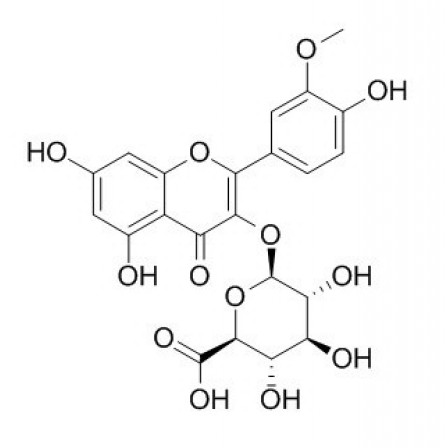 Isorhamnetin 3-glucuronide