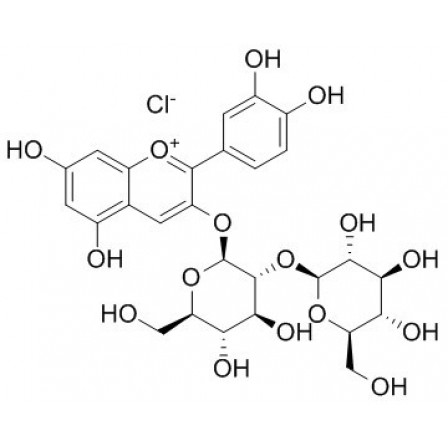 Cyanidin 3-sophoroside Chloride