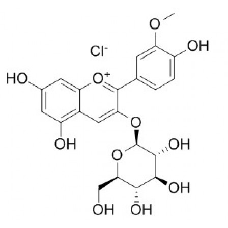 Peonidin-3-O-glucoside Chloride