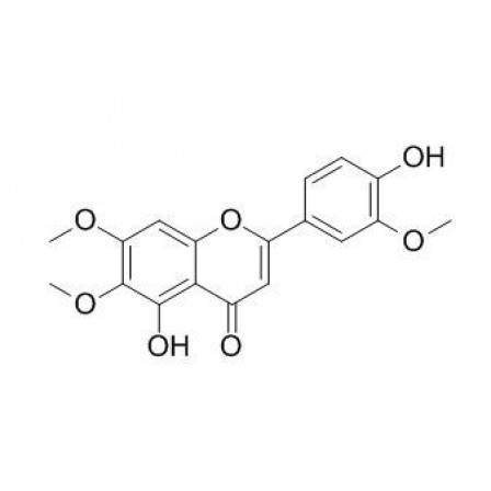 Cirsilineol