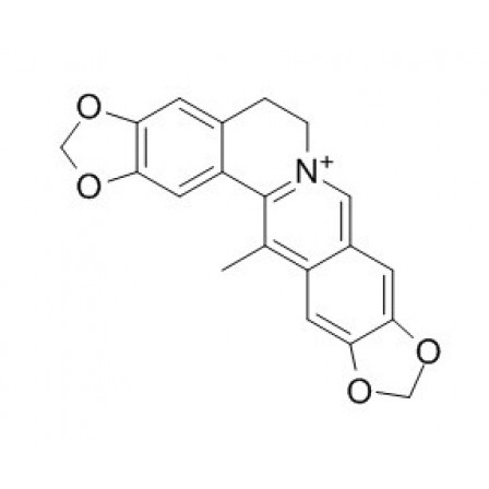 Worenine