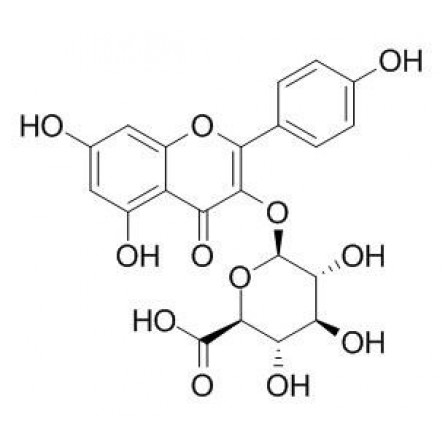 Kaempferol-3-beta-O-glucuronide