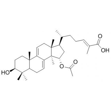 Ganoderic Acid TN