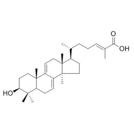 Ganoderic Acid Y