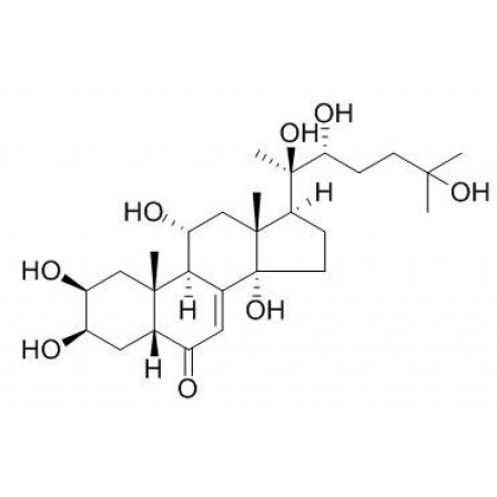 Turkesterone