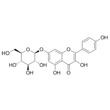 Kaempferol-7-O-D-glucopyranoside