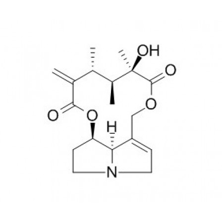 Senecivernine