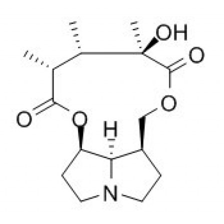 Retusine