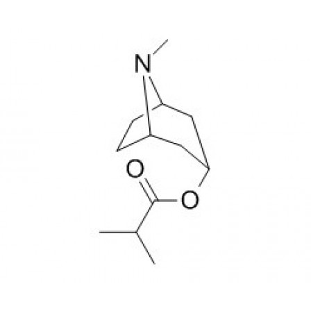 Tropine Isobutyrate