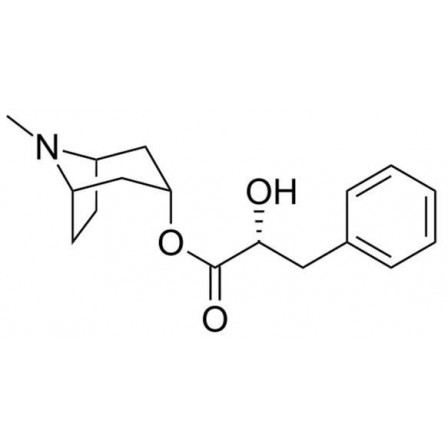 Littorine