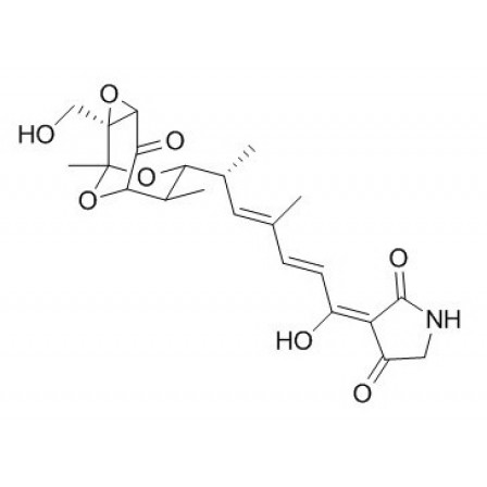 Tirandamycin B