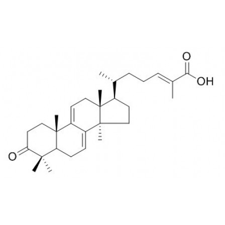 Ganoderic Acid S