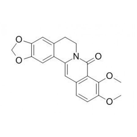 8-Oxyberberine