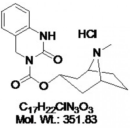 DAU5884