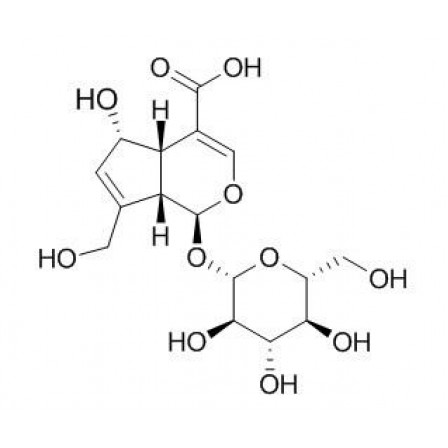Deacetylasperulosidic Acid