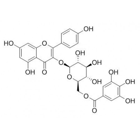 Kaempferol 3-O-(6''-galloyl)-beta-D-glucopyranoside