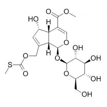 Paederosidic Acid Methyl Ester