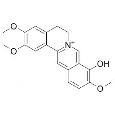 Palmatrubine