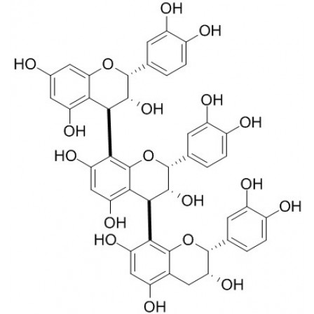 Procyanidin C1
