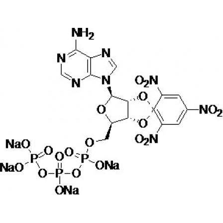 TNP-ATP Sodium Salt