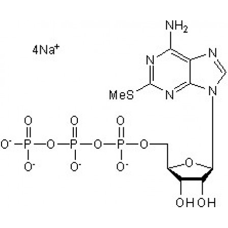 2-MeS-ATP Tetrasodium