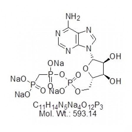 L-AMP-PCP Sodium Salt L-AMP-PCP Sodium Salt