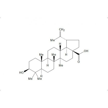 Betulinic Acid Betulinic Acid