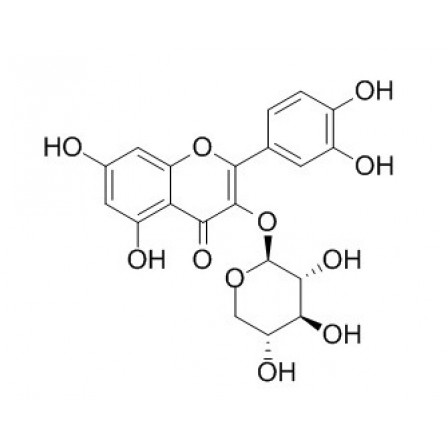 Quercetin 3-O-beta-D-xylopyranoside
